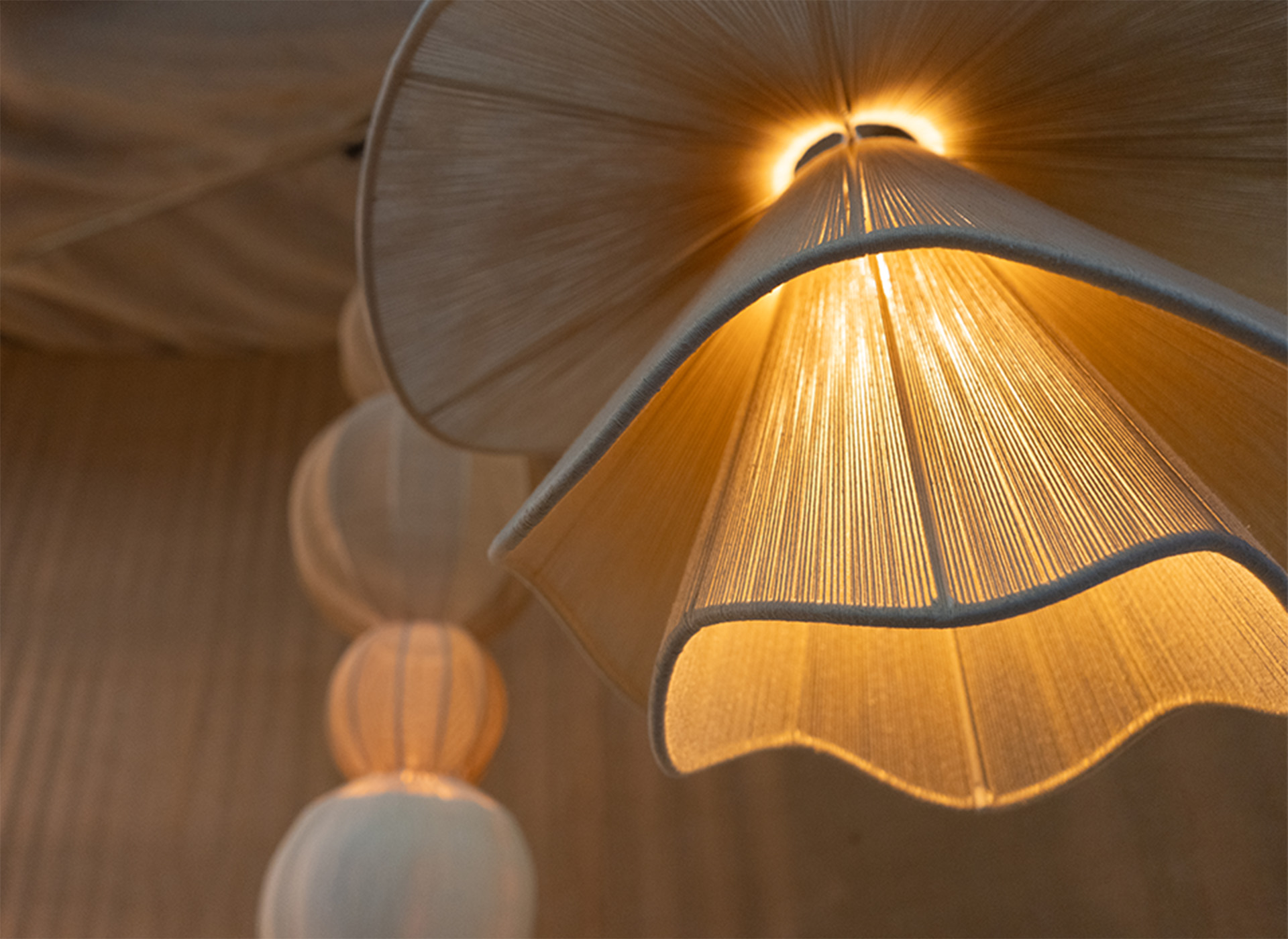 Iluminación y Accesorios