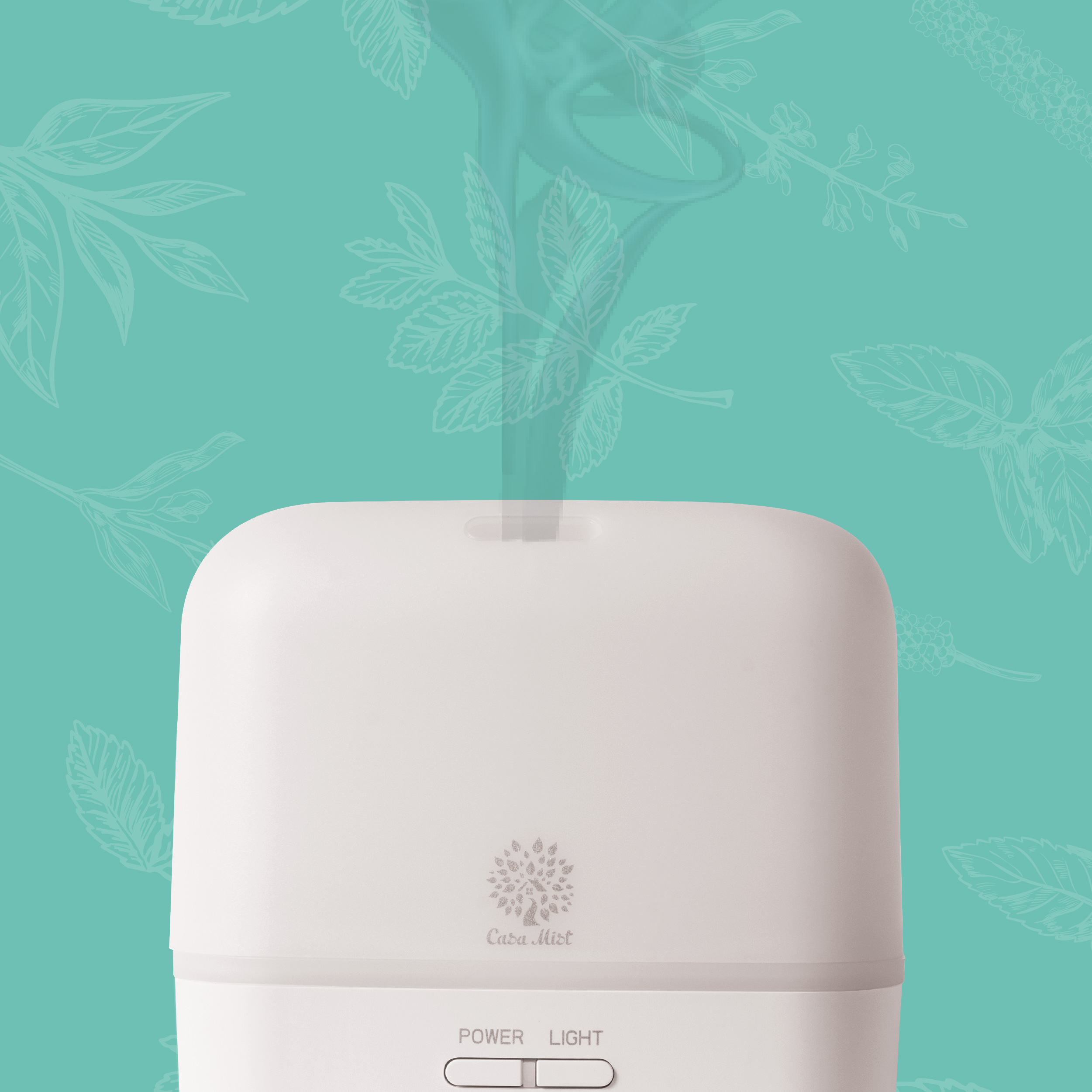 CASA MIST