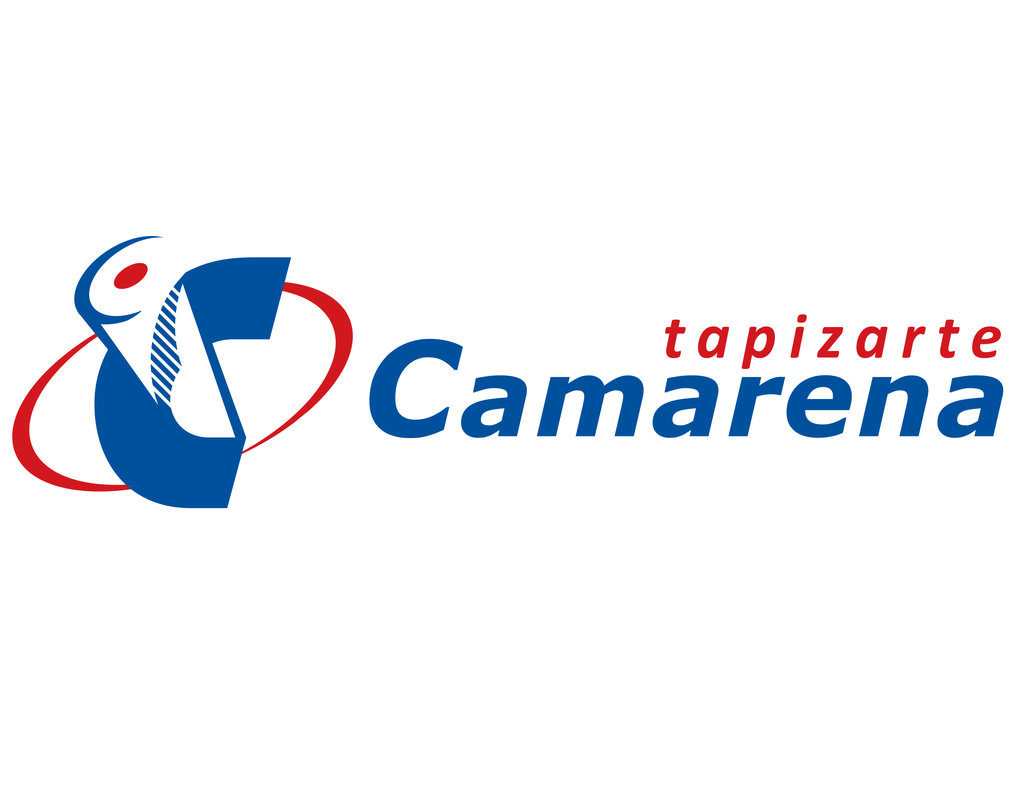 TAPIZARTE CAMARENA